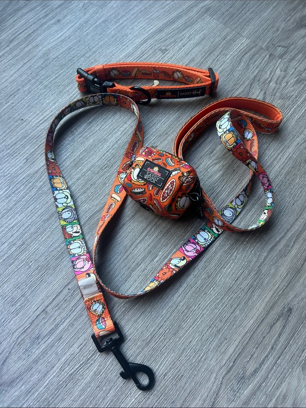 Garfield x Sassy Woof 3 piece dog walk set Collar Fabric Leash Waste Bag Holder